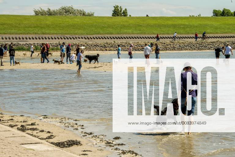 Tourists at low tide on the dog beach of Norddeich in Harlingerland Ostfriesland seen on 19 06 2018