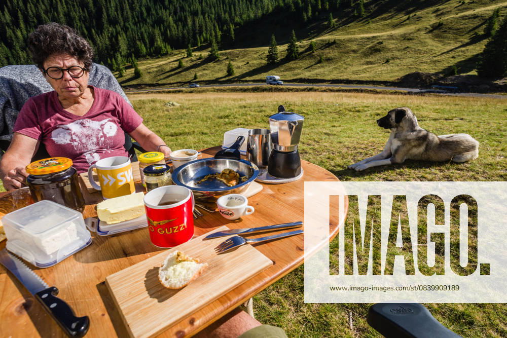A dog stands on a meadow next to a covered camping table where a woman is sitting at breakfast Transylvania, Transylvania, Carpathians, Romania Traveling with a campervan and dog