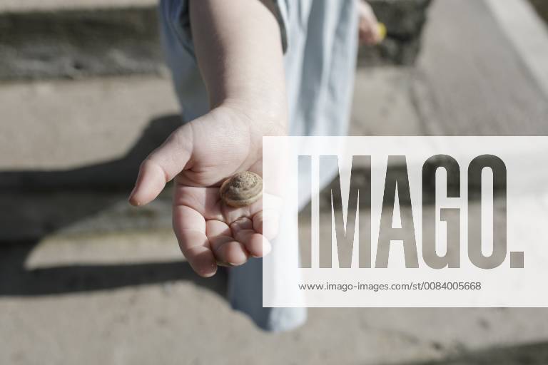 Snail shell on little girl s palm model released Symbolfoto KMKF00174