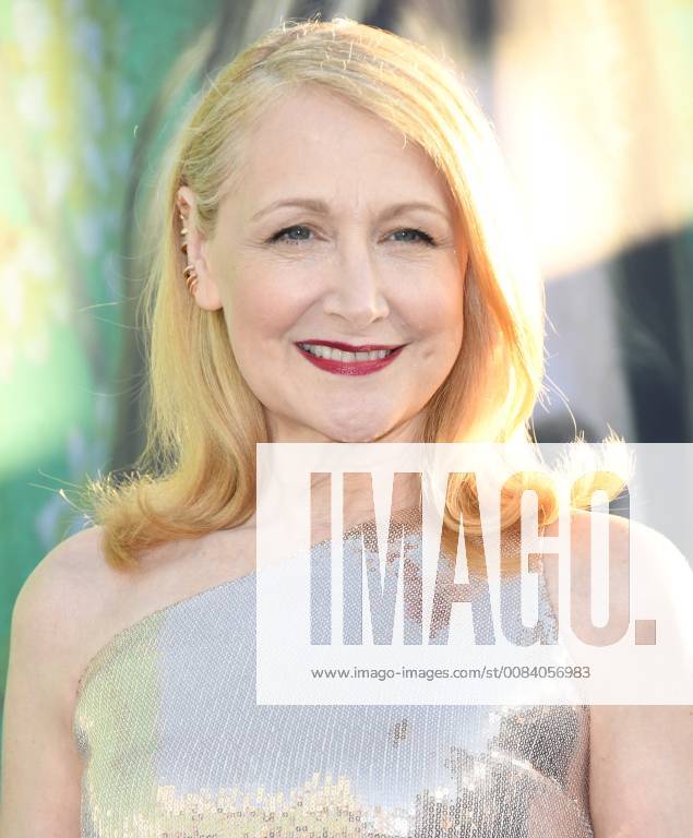 Premiere du film Sharp Objects . 26 June 2018 - Hollywood, California - Patricia Clarkson. HBO s Sharp Objects Los Angeles Premiere held at the Cinerama Dome. Photo Credit: Birdie Thompson AdMedia 227902 2018-06-26 CA Hollywood Etats-Unis