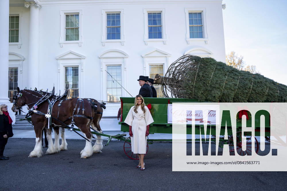 First Lady Melania Trump welcomes the official 2025 White House Christmas Tree outside the White House in Washington, DC on Monday, November 24, 2025. The tree comes from Korson s Tree Farms in Michigan and is the first Grand Champion of the National Christmas Tree Association s National Tree Contest from the state since 1985. WAP20251124300 BONNIExCASH