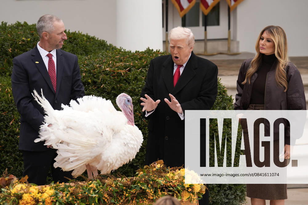 Donald Trump pardons Thanksgiving Turkeys - Washington US President Donald Trump and first lady Melania Trump participate in the Thanksgiving Turkey Pardoning of Gobble and Waddle in the Rose Garden at the White House in Washington on November 25, 2025. Photo by Yuri Gripas ABACAPRESS.COM Washington DC United States