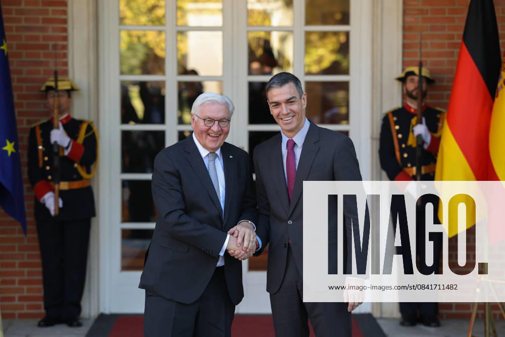 Sánchez receives Steinmeier at the Moncloa Palace The President of the Government, Pedro Sánchez d , and the German Federal President, Frank Walter Steinmeier i , during a meeting, at the Moncloa Palace, on November 27, 2025, in Madrid Spain The German President, Frank Walter Steinmeier, began yesterday, November 26, his first state visit to Spain, which includes meetings with the King, the President of the Government and a trip to the Basque Country to pay homage to the victims of the Nazi bombing in Gernika, November 26, his first state visit to Spain, which includes meetings with the King, the President of the Government, and a trip to the Basque Country to pay homage to the victims of the Nazi bombing of Gernika during the Civil War 27