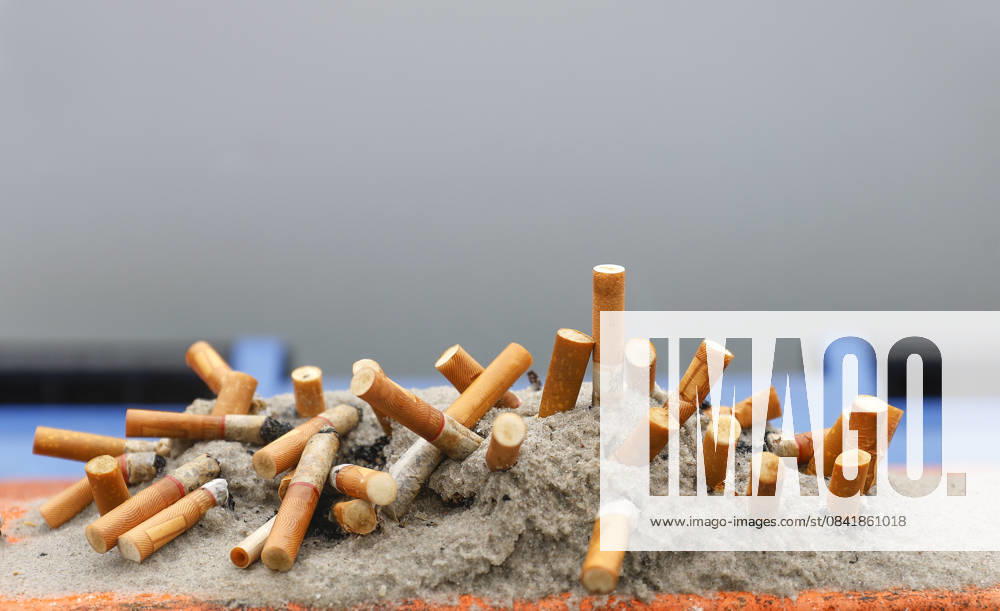 Cigarettes Close-up of cigarette butts stuck in ash and sand, 27 11 2025 Scharbeutz Schleswig Holstein Germany