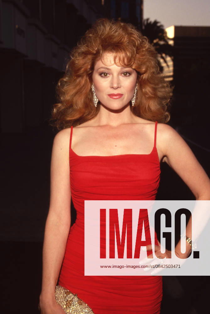 Audrey Landers at the NAACP s Ninth Annual Roy Wilkins Award Dinner to Honor Eddie Murphy on July 19, 1991 at Century Plaza Hotel in Los Angeles, California.