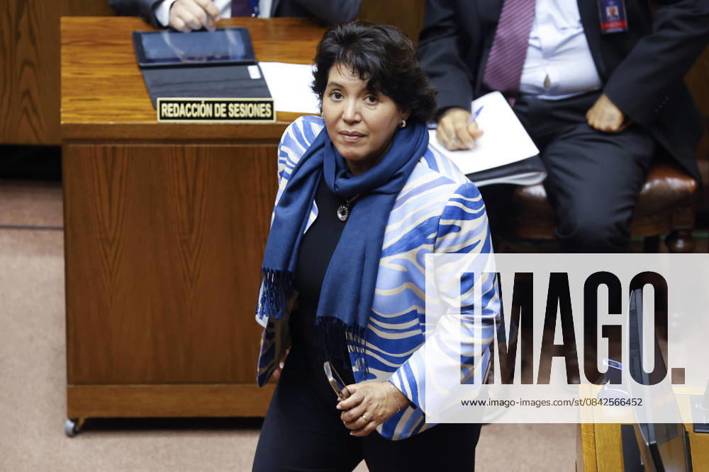 Yasna Provoste during the Senate session Sebastian Cisternas Aton Chile, Valparaiso Chile Aton 1110878