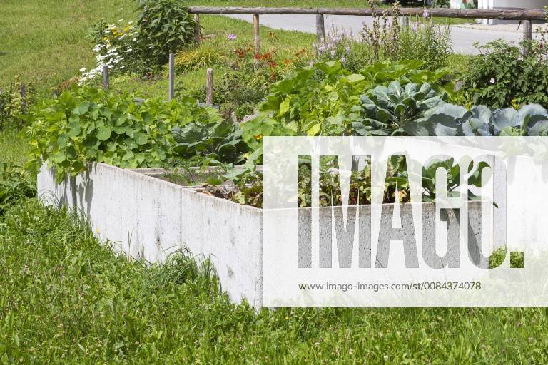 Raised bed raised bed 1065512328