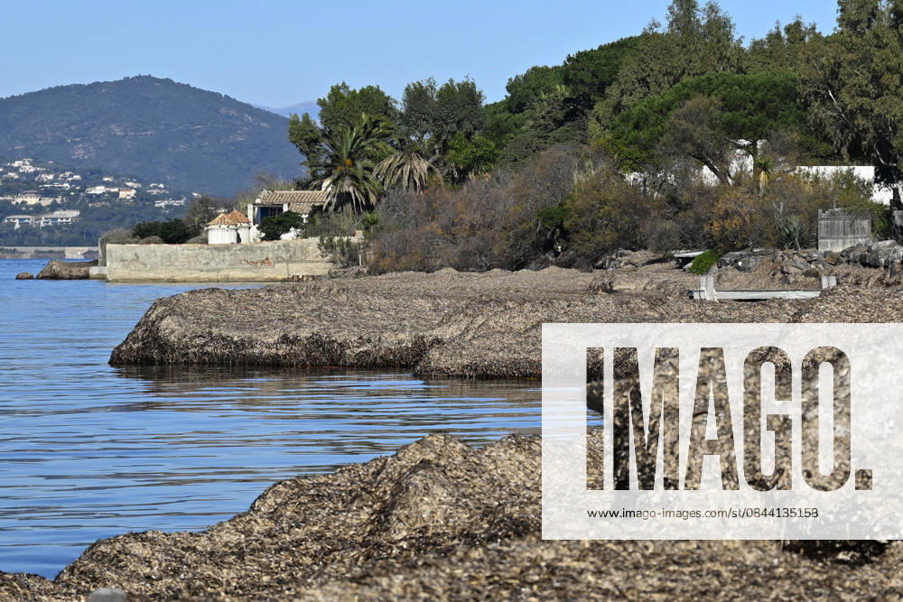 On the left side of the image is La Madrague, the house purchased by Brigitte Bardot in 1958.