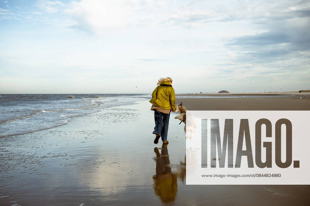 Woman running with dog on empty North Sea beach during joyful walk Sankt Peter-Ording, Schleswig-Holstein, Germany CR_PJJZ26010456-1916881-01 ,model released, Symbolfoto
