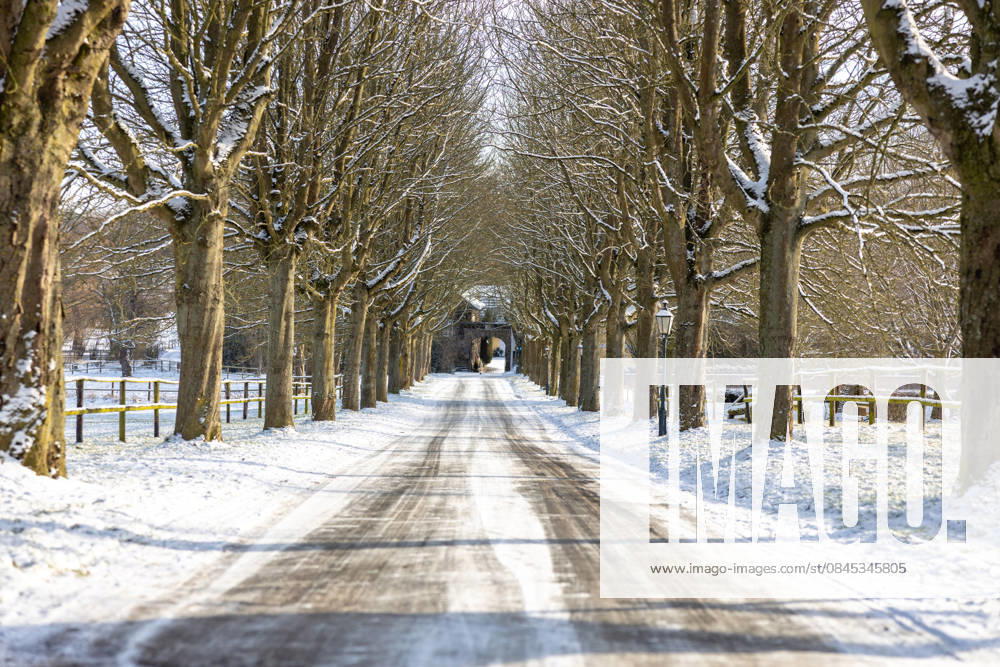 Winter landscape in the Rhineland in Bonn Snow-covered avenue on the Rodderberg south of Bonn The tree-lined path leads through the crater of the former volcano towards Gut Broichhof Snow on the road and branches as well as the clear winter light characterize the quiet, rural winter atmosphere in the Wachtberg Niederbachem nature reserve North Rhine-Westphalia Ger