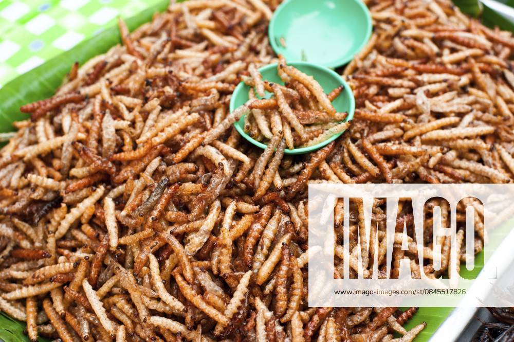 Thailändisches Essen auf dem Markt. Gebratene Insekten, Mehlwürmer als Zwischenmahlzeit Thai food at market. Fried insects mealworms for snack