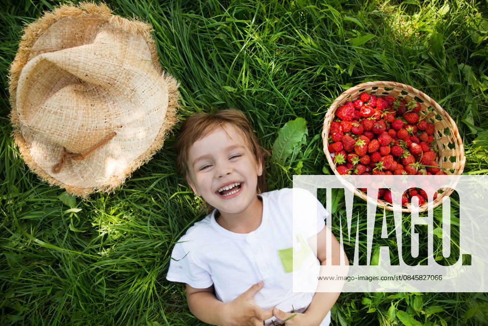 Glücklicher, entzückender kleiner Junge, der im Sommer mit einem Erdbeerkorb im Gras liegt. Glücklicher kleiner Junge, der Spaß im Freien hat. Happy adorable child boy laying on grass with a strawberry basket in summer. Happy little boy having fun outdoors. (License=RF) ,model released, Symbolfoto
