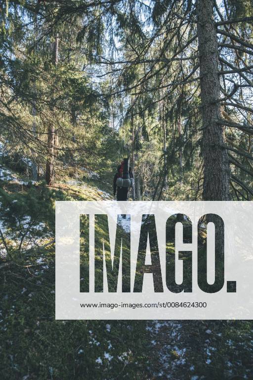 Sweden, Sodermanland, backpacker hiking in remote forest in winter model released Symbolfoto GUSF00922