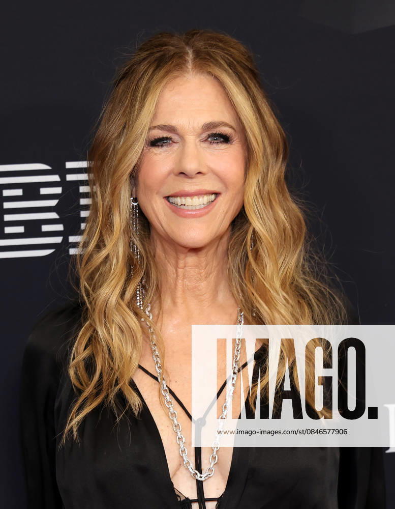 68th Grammy Awards - Pre-Grammy Gala & Grammy Salute to Industry Icons Honoring Avery Lipman & Monte Lipman Featuring: Rita Wilson Where: Los Angeles, California, United States When: 01 Feb 2026 Credit: Faye s Vision Cover Images . NOT FOR USE BY NEWSPAPERS BASED IN THE UK.