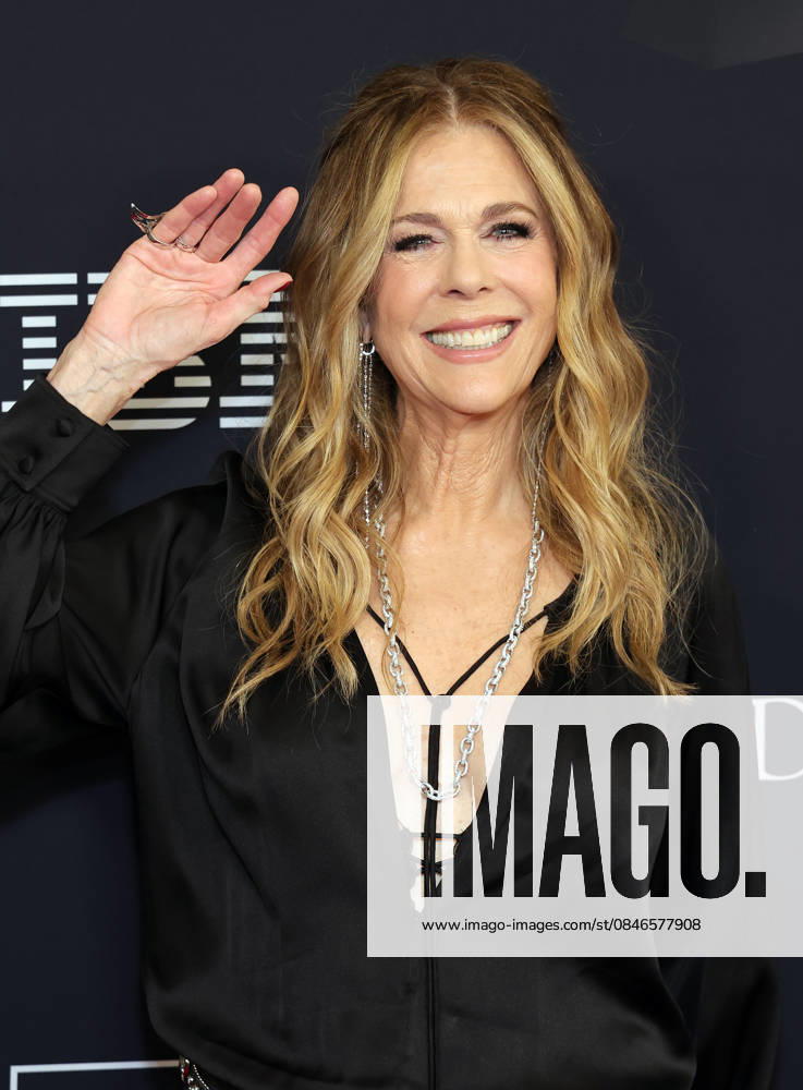 68th Grammy Awards - Pre-Grammy Gala & Grammy Salute to Industry Icons Honoring Avery Lipman & Monte Lipman Featuring: Rita Wilson Where: Los Angeles, California, United States When: 01 Feb 2026 Credit: Faye s Vision Cover Images . NOT FOR USE BY NEWSPAPERS BASED IN THE UK.