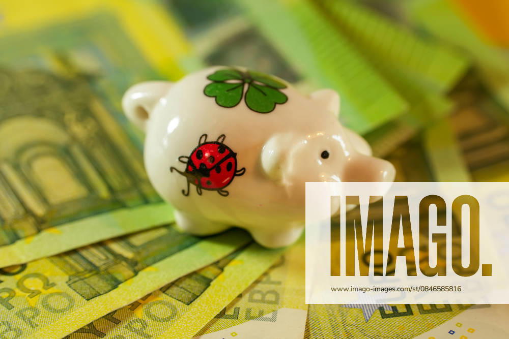 Miniature Piggy bank at 100 Euro Banknotes in the Business world as symbol for Happiness and Prosperity 1133302125