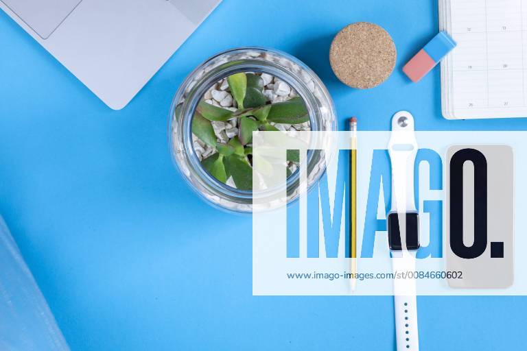 Business desk with potted plant in front of blue background seen from above MMAF00371
