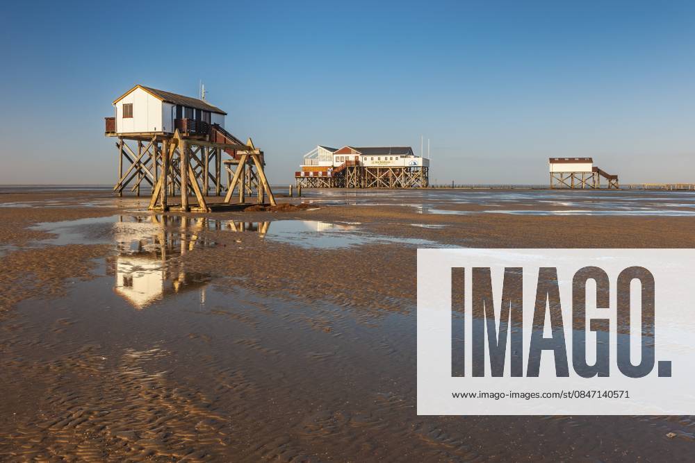 Pfahlhäuser am Strand bei Ebbe, St. Peter-Ording, Nationalpark Schleswig-Holsteinisches Wattenmeer, Schleswig-Holstein, Deutschland Stilt houses on the beach at low tide, St. Peter-Ording, Schleswig-Holstein Wadden Sea National Park, Schleswig-Holstein, Germany
