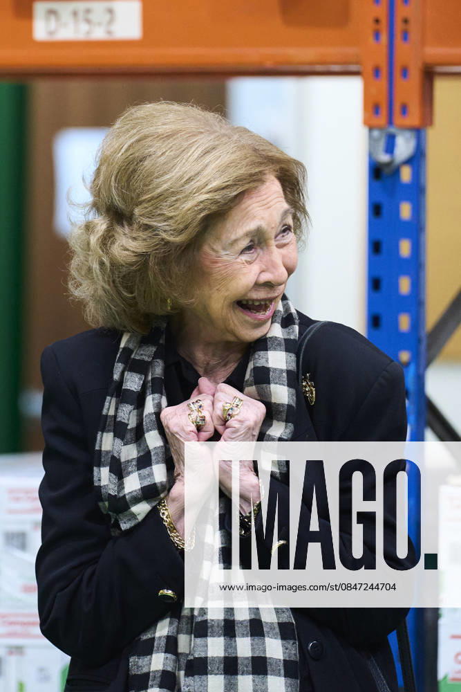 Queen Sofia visited the Bizkaia Food Bank Association, created in 1995 in Basauri and aims to cover the basic food needs of people living in poverty and to fight against wastage, in Madrid. No Spain Â