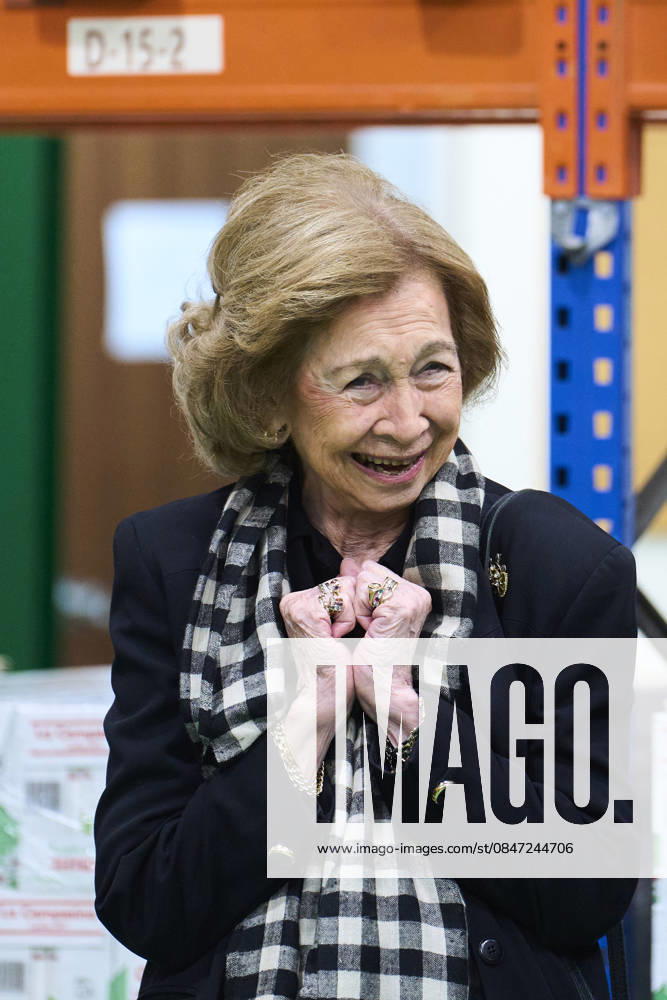 Queen Sofia visited the Bizkaia Food Bank Association, created in 1995 in Basauri and aims to cover the basic food needs of people living in poverty and to fight against wastage, in Madrid. No Spain Â