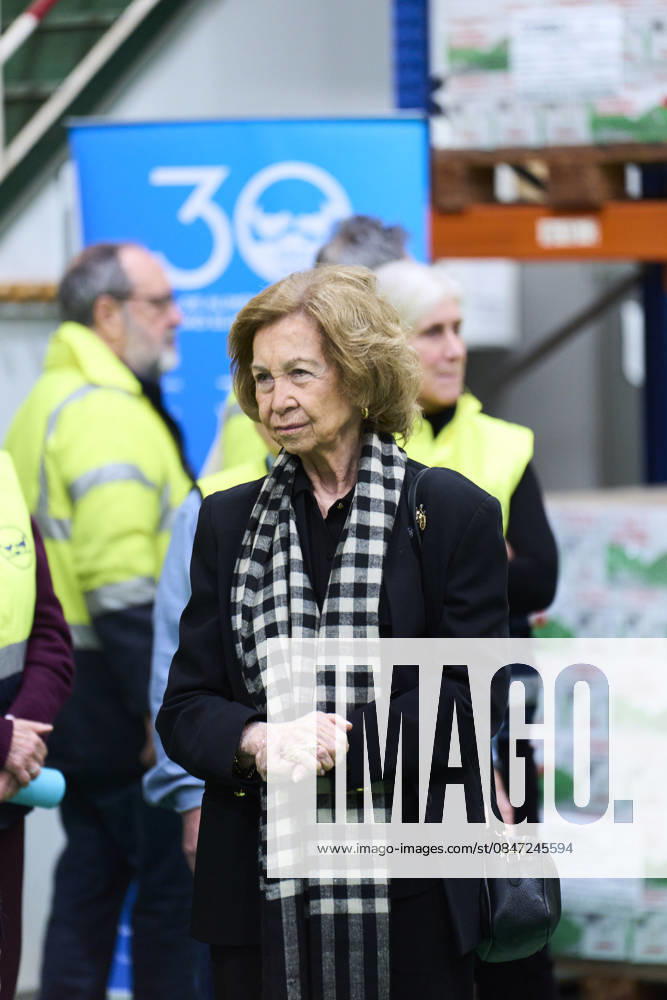 Queen Sofia of Spain visits Bizkaia Food Bankining on February 10, 2026 in Basauri, Spain Basauri Spain - ZUMAg15_ 20260210_zaf_g15_059