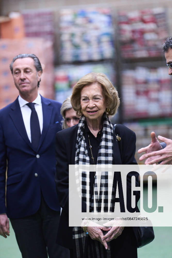 Queen Sofia of Spain visits Bizkaia Food Bankining on February 10, 2026 in Basauri, Spain Basauri Spain - ZUMAg15_ 20260210_zaf_g15_046