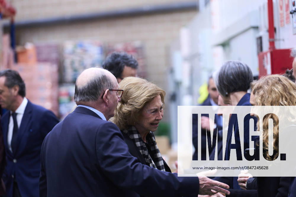 Queen Sofia of Spain visits Bizkaia Food Bankining on February 10, 2026 in Basauri, Spain Basauri Spain - ZUMAg15_ 20260210_zaf_g15_048