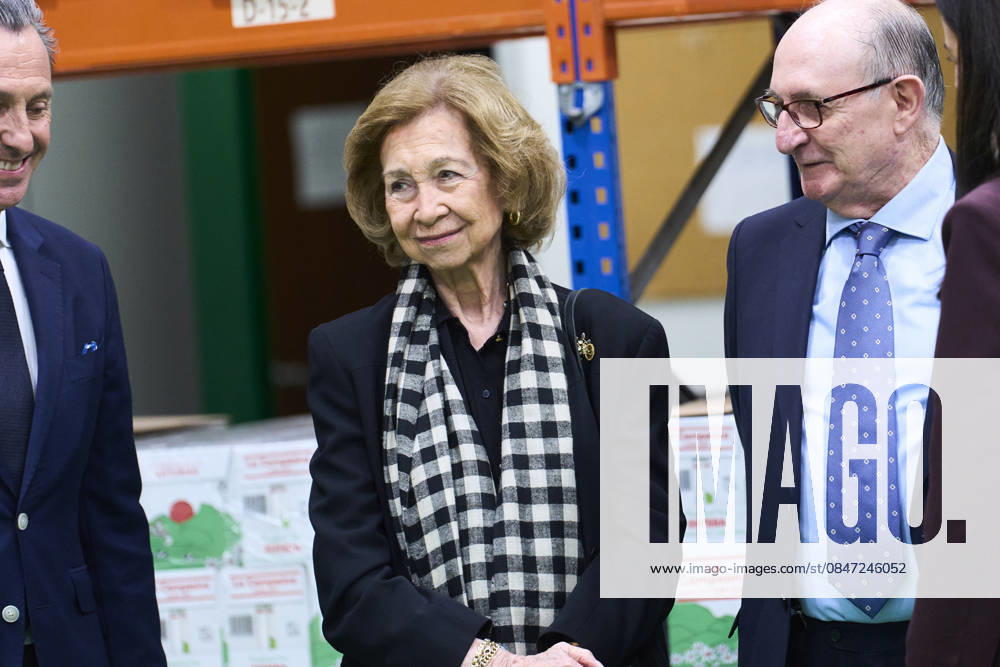 Queen Sofia of Spain visits Bizkaia Food Bankining on February 10, 2026 in Basauri, Spain Basauri Spain - ZUMAg15_ 20260210_zaf_g15_081