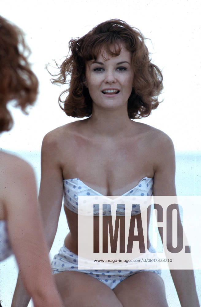 Shelley Fabares, 1967