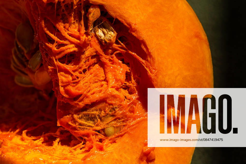 Close-up view of vibrant fresh pumpkin texture A close-up view of a bright, vibrant pumpkin showcasing its intricate texture and natural beauty. The texture highlights the freshness and color of the pumpkin flesh. Model Released Ellsy_ID32772_1115632_004