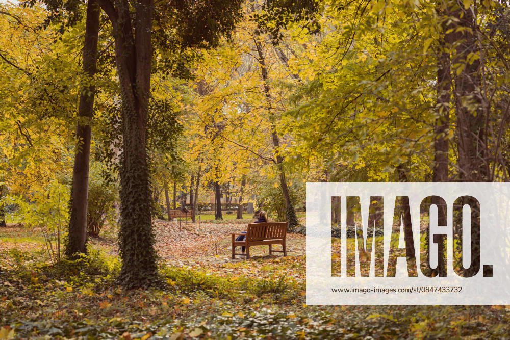 Woman sitting on a bench in a park covered with dry autumn leaves A woman sitting on a bench in a park covered with dry leaves, surrounded by trees and hedges, contemplating the beautiful autumn season surrounded by a autumnal landscape Model Released OscarParrilla_ID32763_1115378_005