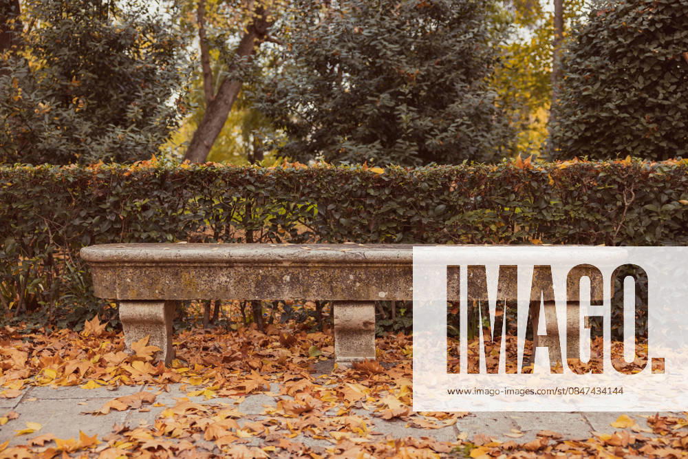 Stone bench amidst autumn leaves in a serene park Close-up of a weathered stone bench in a tranquil park setting, surrounded by dry, fallen autumn leaves. The scene evokes a quiet, reflective atmosphere of fall solitude Model Released OscarParrilla_ID32763_1115405_030