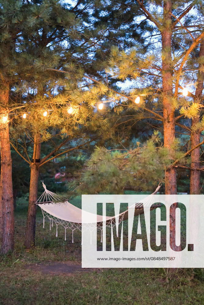 Cozy hammock under string lights in forested camp setting at evening, ONAF01145