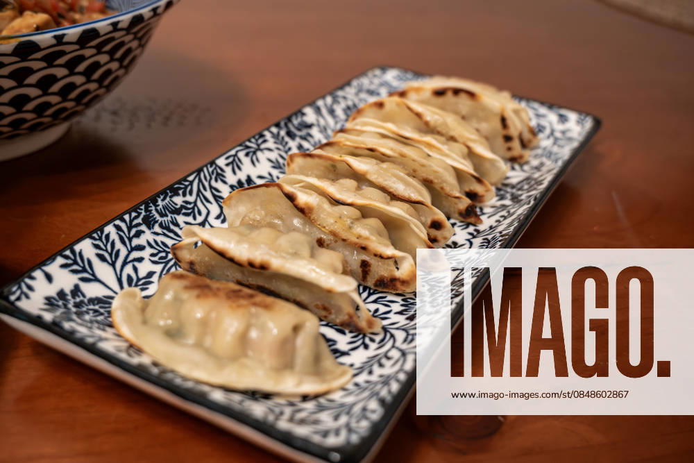Fried dumplings on decorative serving plate 18 02 26, Eisenbach Symbol photo, illustration image, symbol image, illustration photo, everyday scene Close-up of fried dumplings, arranged on a rectangular serving plate with decorative pattern Food shot on a wooden table with selective sharpness and warm lig