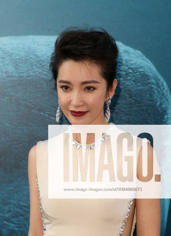 HOLLYWOOD, CA - August 6: Li Bingbing, at Warner Bros. Pictures And Gravity Pictures Premiere Of The Meg at TCL Chinese Theatre IMAX in Hollywood, California on August 6, 2018.