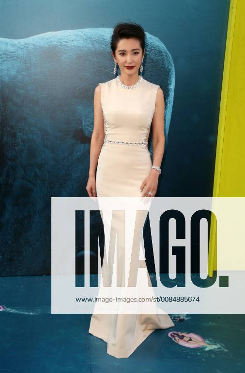 HOLLYWOOD, CA - August 6: Li Bingbing, at Warner Bros. Pictures And Gravity Pictures Premiere Of The Meg at TCL Chinese Theatre IMAX in Hollywood, California on August 6, 2018.