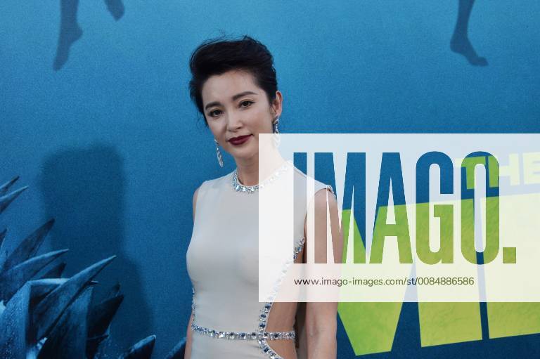 Cast member Li Bingbing attends the premiere of the sci-fi motion picture thriller The Meg at TCL Chinese Theatre in the Hollywood section of Los Angeles on August 6, 2018. Storyline: After escaping an attack by what he claims was a 70-foot shark, Jonas Taylor must confront his fears to save those trapped in a sunken submersible. LAP2018080638 JIMxRUYMEN