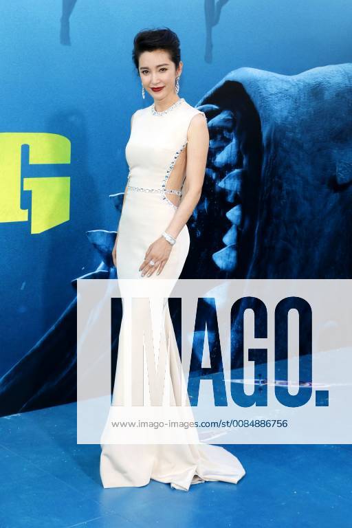 Li BIngbing at The Meg Film Premiere on 6 08 2018 in Hollywood Los Angeles The Meg Film Premiere in Hollywood Los Angeles 2018