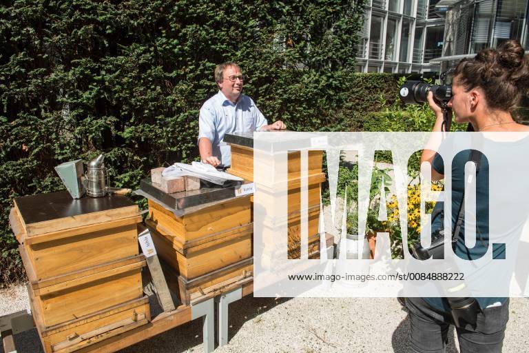 Environment Honey harvest Bundestag bees Honey harvest at the Bundestag bees Oliver Krischer Bees Father of the Parliament and vice chai