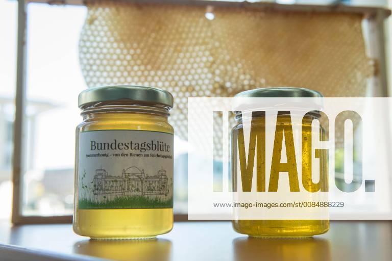 Environment Honey harvest Bundestag bees Honey harvest at the Bundestag bees Oliver Krischer Bees Father of the Parliament and vice chairman of the parliamentary group of the