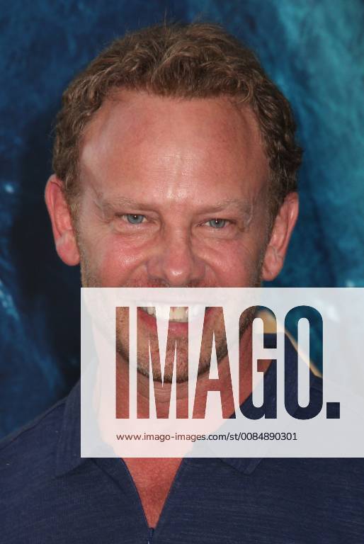 Ian Ziering 08 06 2018 The U.S. Premiere of The MEG held at the TCL Chinese Theater in Los Angeles, CA