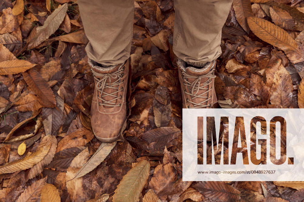 Autumn forest walk through fallen leaves Brown boots stepping through a forest floor covered with crisp autumn leaves, showcasing the earthy tones and textures of nature during this beautiful season. Model Released M-aCreativeStudio_ID33170_1129395_013
