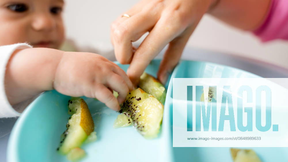 Baby led weaning with family guidance A baby explores baby led weaning with pieces of kiwi on a blue plate, guided by a gentle family hand, promoting healthy eating habits and sensory development. Model Released SilviaRedondo_ID33605_1170251_038