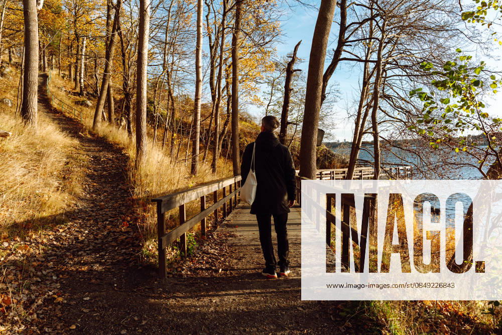 Man Walking on Forest Path with Wooden Railings in Autumn Sunlight Stockholm, Stockholm County, Sweden CR_EDSAHG260225-1973161-01 ,model released, Symbolfoto
