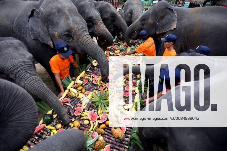 (180812) -- BAGO, Aug. 12, 2018 -- Elephant keepers feed elephants with different kinds of fruits and vegetables at the Wingabaw Elephant Camp on World Elephant Day in Bago Region, Myanmar, Aug. 12, 2018. ) (jmmn) MYANMAR-BAGO-WORLD ELEPHANT DAY UxAung