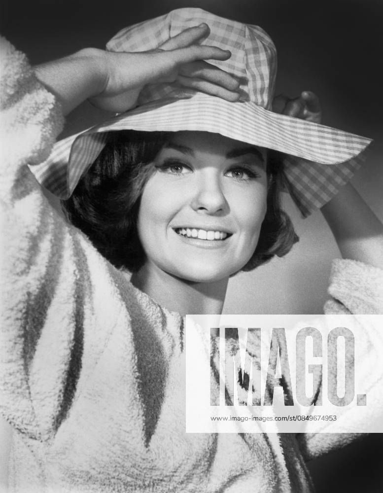 Actress Shelley Fabares, Head and Shoulders Publicity Portrait, MGM, mid-1960 s