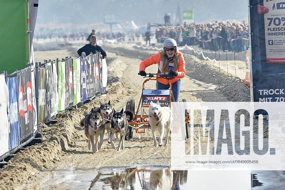 Nina Ensmann at the BALTIC LIGHTS 2026 Charity Schilttenhunderrennen in Heringsdorf on Usedom on 07 03 2026