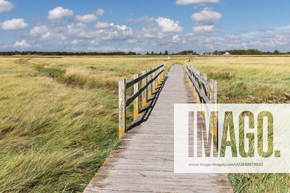 Holzweg durch Salzwiesen mit Brücke über einen Priel bei Sankt Peter-Ording in Nordfriesland Holzweg durch Salzwiesen mit Brücke über einen Priel bei Sankt Peter-Ording in Nordfriesland, Schleswig-Holstein, Deutschland. (License=RF)