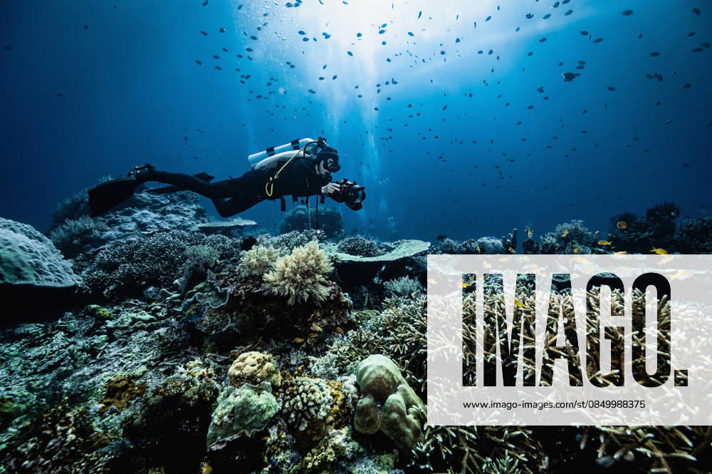 Underwater photographer exploring the Komodo National park Badjo, Nusa Tenggara Timur, Indonesia CR_THHE260307-1959082-01 ,model released, Symbolfoto