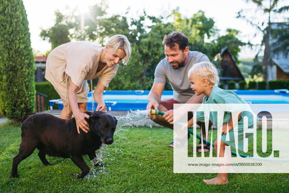 Parents and child cooling dog with water on sunny day. Parents and child cooling dog with water on sunny day. Family pet. model released
